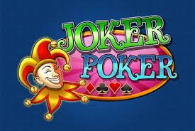 i9bet cá cược thể thao
